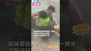警民合力从湍急的水渠中救羊，挽回经济损失近千元 #暖心 #感動 #警察 #正能量 #shorts