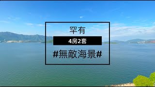 罕有無敵海景單位