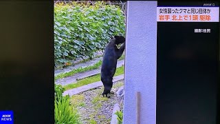 日本岩手縣驚悚！81歲婦遭熊襲擊致死，市府確認「殺人熊」被撲殺
