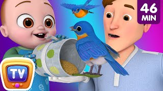 Helping Daddy Song with Baby Taku + More ChuChu TV Nursery Rhymes & Toddler Videos for Babies