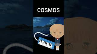 海辺でCOSMOS【ピアニカ】
