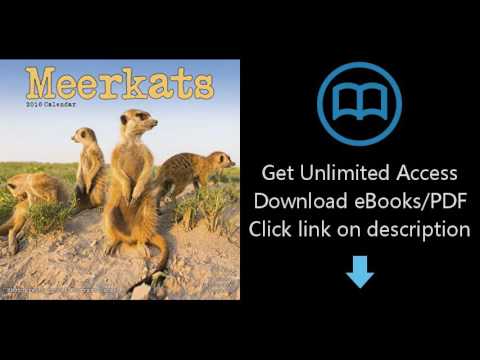 Download Meerkats 2016 Wall Calendar [P.D.F]