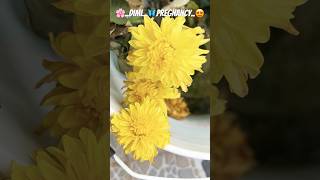 DIML during pregnancy 🤰 #shortsfeed #minivlog #youtubeshorts #diml #dimlvlogtelugu #food #pregnancy