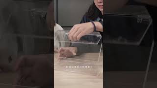 租屋族必備的13樣好物🔥｜#居家改造 #租屋 #租屋改造 #shorts