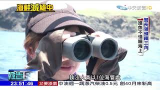 2018.04.22中天調查報告／南方四島鐵三角執法　復育海膽5千變2萬顆　「藍洞」名遠播