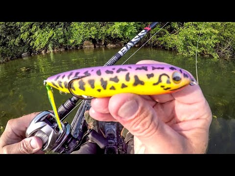 This Lure Got SMASHED!