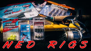 BUYER'S GUIDE: NED RIG - BAITS, HOOKS, AND RODS FOR NED RIGGING!