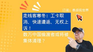 走线客寒冬：工卡取消、快速遣返、无权上诉！数万中国偷渡者或将被集体清理？