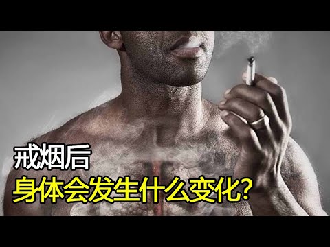 当你下定决心戒烟时，身体会发生哪些惊人的变化？