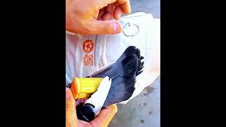 Homing pigeons flying whistle- Good tools and machinery make work easy