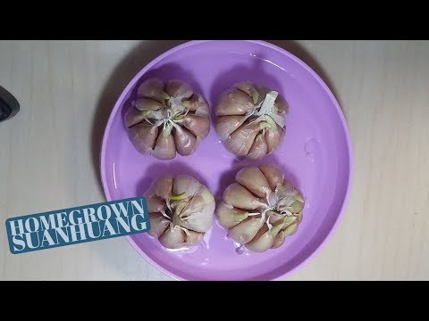 How to grow garlic that's yellow (Off-the-cuffs video)