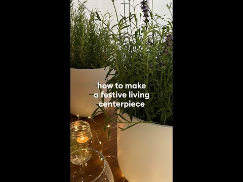 How to Make a Festive Living Centerpiece