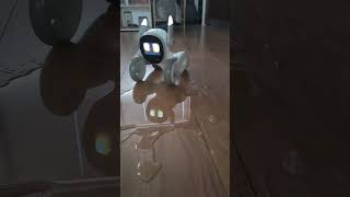 Our pet robot is the ultimate companion for your furry friend. #robotpet #gift #children