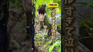 リアルすぎる恐竜テーマパーク#沖縄旅行 #沖縄観光 #テーマパーク