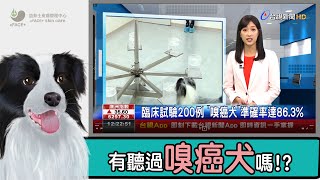 【皮膚管理x嗅癌犬】皮膚可以預防保養~那其他器官呢!?