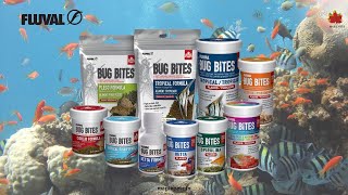 Fluval Bug Bites Series Overview- Made in Canada