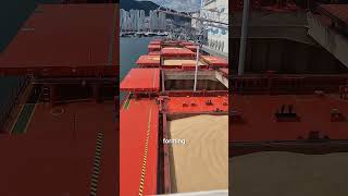 Why Cargo Solidification Happens #shorts