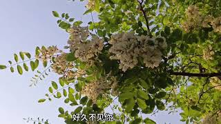 #感受大自然的气息和美景
