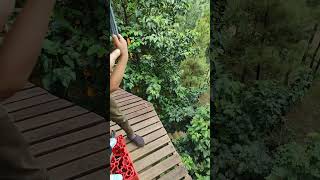 Bonanza play flying fox