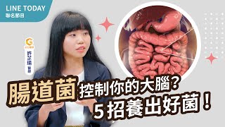 食慾失控、情緒不穩？醫師：腸道菌正在操控你的大腦！關鍵5招養出一肚子好菌｜初日診所許芷瑜醫師【TODAY健面聊】#12 腸腦軸 下集 (免費送改善腸躁懶人包) @TODAY健面聊