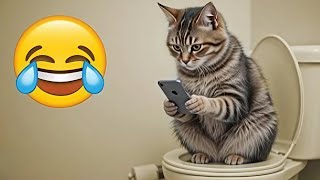 面白い動物動画 😂 | 2025年最も面白い猫と犬 🐶😼