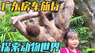 一家三口想象中的房车旅行，来一场动物世界奇幻之旅【家和远方的旅行】