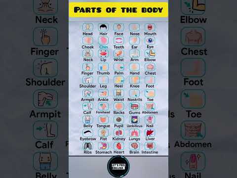 Parts of the Body !! || #shorts