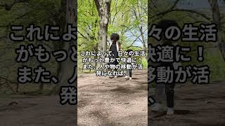 ガソリン税が廃止されたら