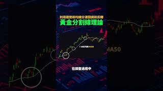 如何利用趨勢和均線分清回調和反轉？黃金分割線理論 #投資 #美股 #特斯拉 #trading