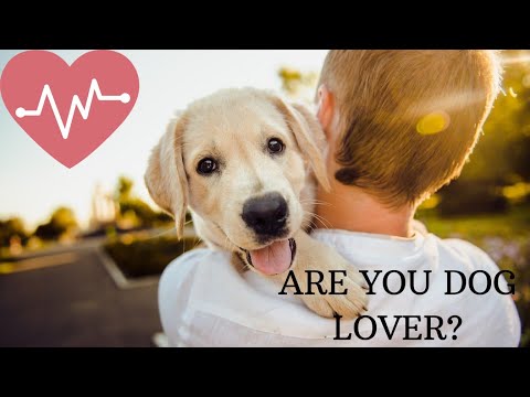 Amazing Facts And Stories About Dogs || Dog Lovers Must Watch It.