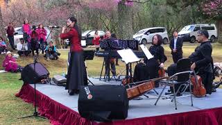 台灣笛子名曲 董榕森《陽明春曉》 笛子：神笛公主吳佳蓁  Spring Dawn at Yang-Ming Mountain, dizi played by Novia Wu