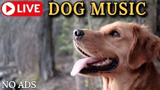 🔴24/7  Dog Music TV🎵🐶Calming Music for Dogs🐶💖Separation Anxiety Relief💖🦮Sleep Music for Dogs🔴6