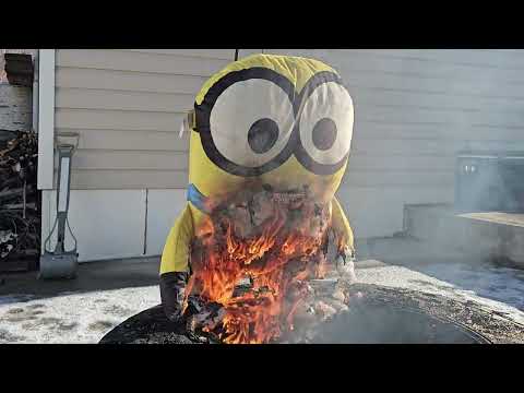 🔥 We Burned a Minion Plush-You Won't Believe What Happened! 🔥