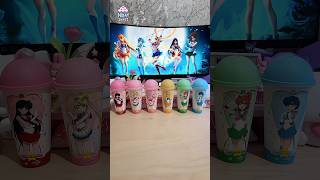 Full Set Tumbler Sailor Moon—All Super Sailors in One Magical Display 🌙✨ #sailormoon