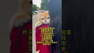 猫咪不只是一个宠物，更是我的家人