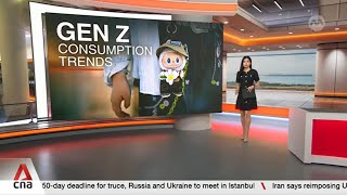 Labubu dolls and the rise of emotional shopping among youths in China