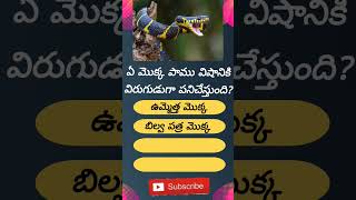 జనరల్ నాలెడ్జ్ #shorts #gk #general knowledge #trending #subscribe #ibstudies