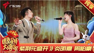 【纯享】炎明熹周柏豪深情合唱《紫荆花盛开》歌声与眼神都是满满的情感【2023湾区春晚】