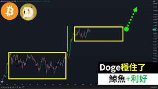 Will Dogecoin continue to fall? Good news for Bitcoin DOGE! Whale action!