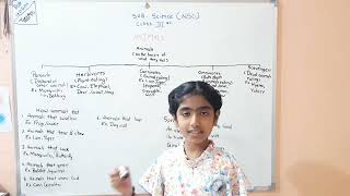 Class 3 NSO Chapter 1 Plants and Animal part 3