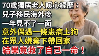 70歲老人晚年孤身獨居，兒子移民海外，一年見不了一面，偶遇一條患病土狗，在眾人嫌棄下帶回家，結果竟救了她自己一命！​【康養人生道】 #康養人生道 #上了年紀該明白的事 #養老 #聰明老人 #長壽秘密