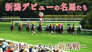 新潟デビューの名馬たち｜JRA公式