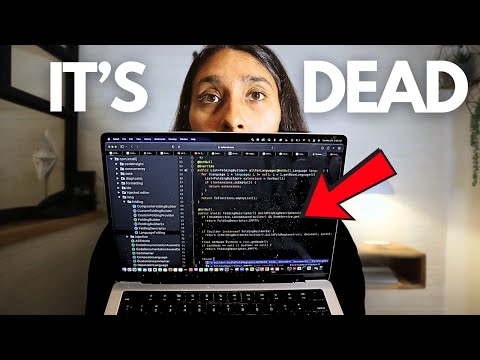 The Harsh Reality of Coding Now.