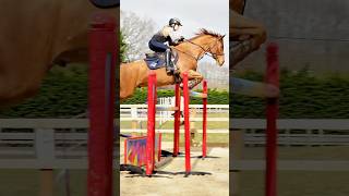 This vlog will leave you on the edge of your seat! Harlow jumps Demir’s horse Max! COMING SOON! 🎥