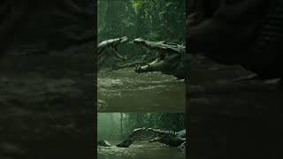 Anaconda Ambushes Crocodile in Shocking River Battle! #AnacondaVsCrocodile #WildlifeBattle #Snake