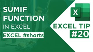SUMIF Function in Excel - Excel Tip #20 - #shorts