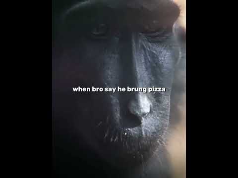hehe