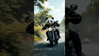 Cat Revenge 😡 #goviral #funny #panda #aicreation #cat #catvideo #animals #viral #1m #tiger #dinosaur