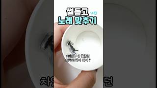 잠수이별 당한 #썰