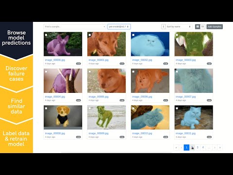Curating and improving your training dataset and model with Segments.ai